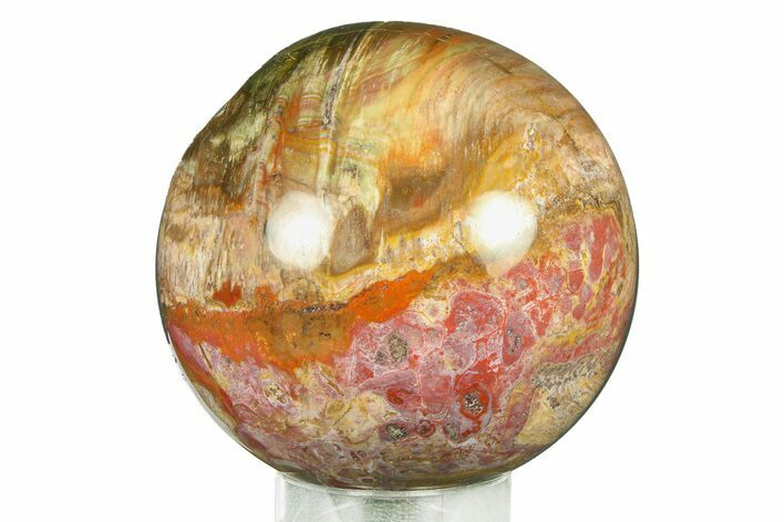 Colorful Petrified Wood (Araucaria) Sphere - Madagascar #286151